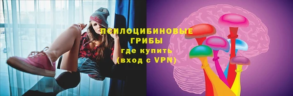 прущий лед Пестово